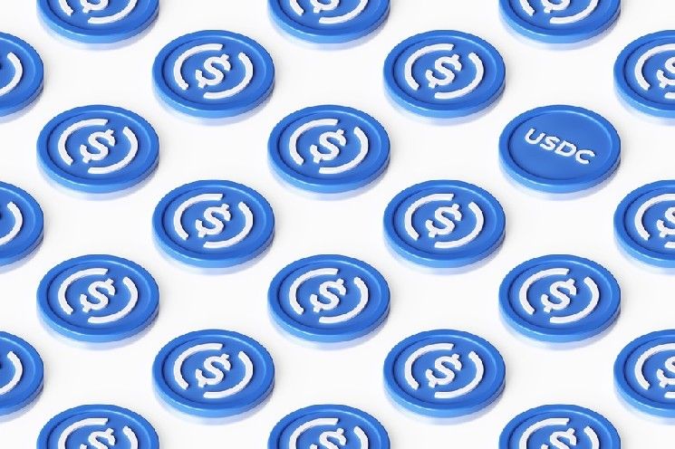 نيار تضيف مدفوعات USDC الخاصة للوكلاء الذكيين في السوق