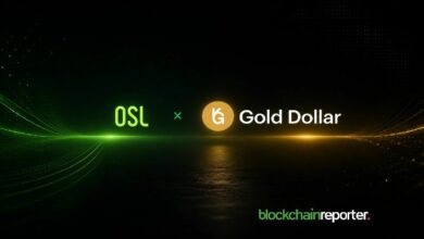 أو إس إل تدرج عملة USDKG المستقرة المدعومة بالذهب في الأسواق الآسيوية