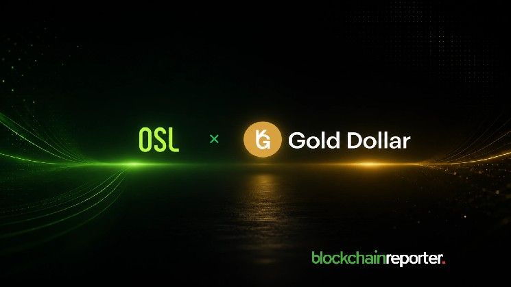 أو إس إل تدرج عملة USDKG المستقرة المدعومة بالذهب في الأسواق الآسيوية
