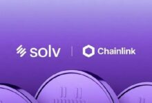 سولف تستبدل LayerZero بـ Chainlink CCIP لتأمين أصول بيتكوين ملفوفة بقيمة 700 مليون دولار
