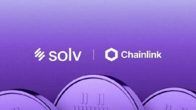 سولف تستبدل LayerZero بـ Chainlink CCIP لتأمين أصول بيتكوين ملفوفة بقيمة 700 مليون دولار
