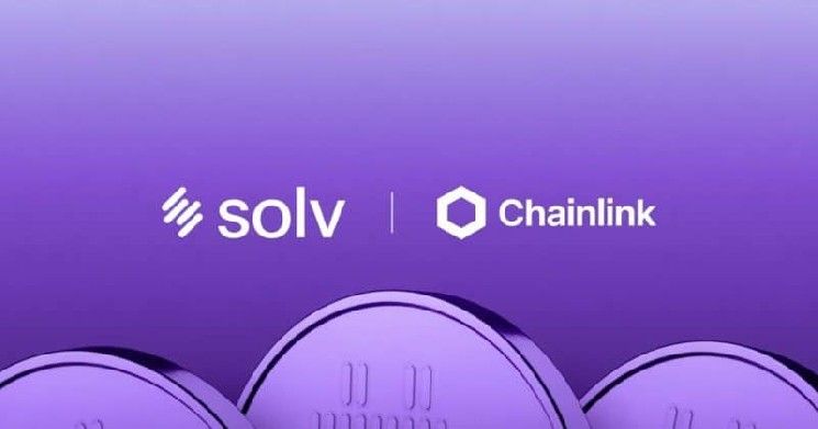 سولف تستبدل LayerZero بـ Chainlink CCIP لتأمين أصول بيتكوين ملفوفة بقيمة 700 مليون دولار