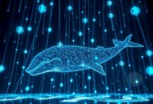 عناوين المقالات المترجمة: نشاط حيتان Worldcoin يسجل أعلى مستوياته السنوية، وفقًا لبيانات السلسلة