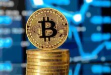 شبكة البيتكوين تسجل أعلى مستوى للمعاملات منذ صعود 2024