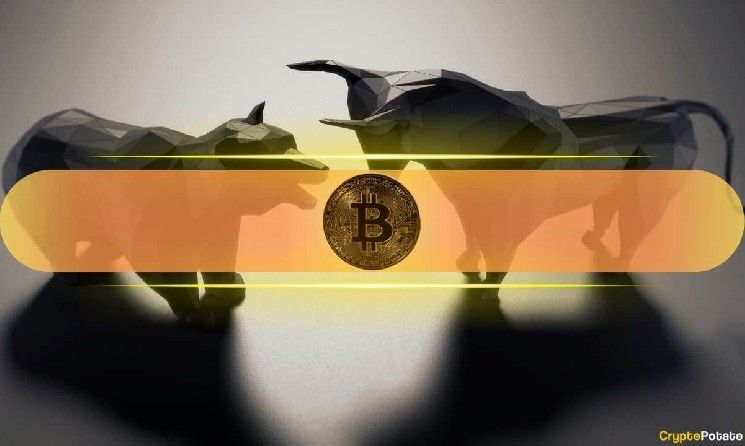 تقرير Bitfinex: سوق البيتكوين غير مهيأ للصعود رغم اختراق 80 ألف دولار