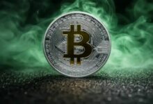 بيتكوين يقفز فوق 81 ألف دولار مع ذروة الأسهم — اشتداد الصراع على النفوذ
