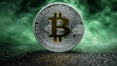 بيتكوين يقفز فوق 81 ألف دولار مع ذروة الأسهم — اشتداد الصراع على النفوذ
