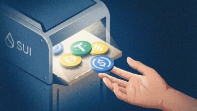 سوي تطلق تحويلات مستقرة بدون رسوم غاز – ماذا تتوقع الآن؟
