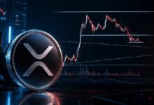 "بيتر براندت يحذر متداولي XRP برسم بياني جديد للدعم"