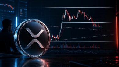 "بيتر براندت يحذر متداولي XRP برسم بياني جديد للدعم"