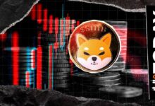 شيبة إينو تواجه أزمة تصفية بقيمة 0 دولار مع خروج المتداولين من المراكز
