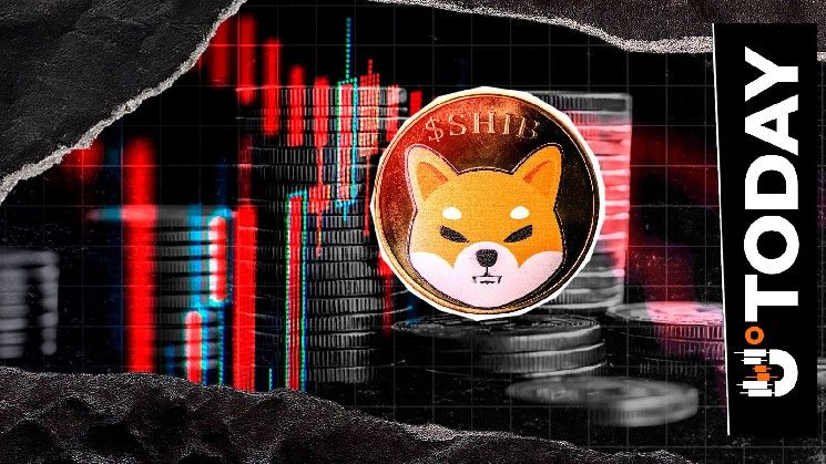 شيبة إينو تواجه أزمة تصفية بقيمة 0 دولار مع خروج المتداولين من المراكز