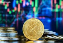 **XRP مقابل RLUSD: إيفرنورث تؤكد أن حالة استخدام XRP على شبكة XRPL في ازدياد مستمر**