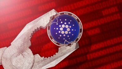 المدير التنفيذي لـ Cardano يدقق 11,000 DAO: الحوكمة هي السبب الرئيسي
