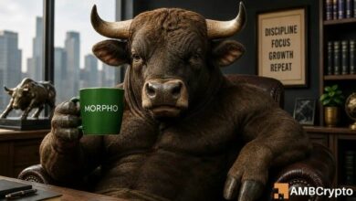 شرح اختراق MORPHO – لماذا يتوقع المتداولون مزيدًا من الصعود