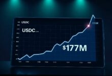 تجاوز صافي التدفق اليومي لـ Hyperliquid USDC 173 مليون دولار، مسجلاً أعلى مستوى في 10 أشهر