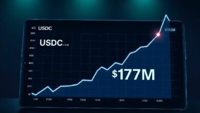 تجاوز صافي التدفق اليومي لـ Hyperliquid USDC 173 مليون دولار، مسجلاً أعلى مستوى في 10 أشهر