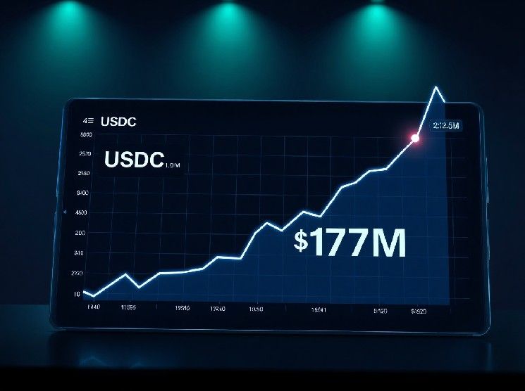 تجاوز صافي التدفق اليومي لـ Hyperliquid USDC 173 مليون دولار، مسجلاً أعلى مستوى في 10 أشهر