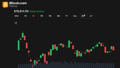 سعر بيتكوين يتوقف بالقرب من دعم 76 ألف دولار مع انكماش التقلبات