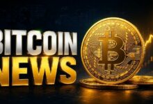 الحيتان البيتكوينية تتحدى انخفاض 77 ألف دولار مع ارتفاع المحافظ الكبيرة بنسبة 11%