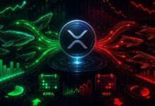 عودة كبار مشتري XRP في أبريل ومغادرتهم في مايو: بيانات تدفقات رأس المال تفسر التحول