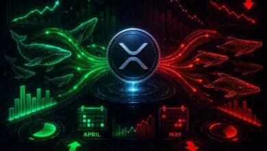 عودة كبار مشتري XRP في أبريل ومغادرتهم في مايو: بيانات تدفقات رأس المال تفسر التحول