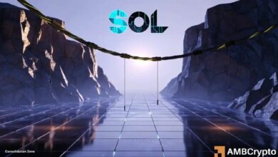 سولانا: لماذا تشكل مجموعة 88–89 دولارًا خط دفاع قصير المدى لمضاربي SOL على الانخفاض