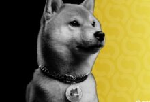 دوجكوين يسجل أعلى مستوى في شهرين بعد إعلان شركة تعدين DOGE عن طرح عام عبر الاندماج