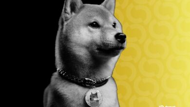 دوجكوين يسجل أعلى مستوى في شهرين بعد إعلان شركة تعدين DOGE عن طرح عام عبر الاندماج