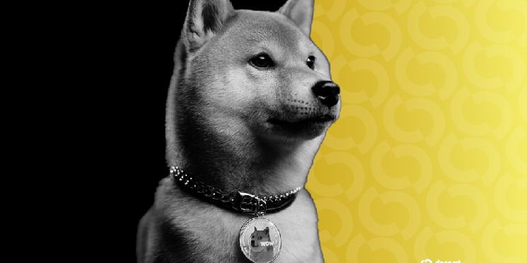 دوجكوين يسجل أعلى مستوى في شهرين بعد إعلان شركة تعدين DOGE عن طرح عام عبر الاندماج