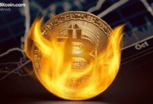 محفظة حرق بيتكوين تمتص 8.2 مليون دولار بعد إتلاف 107 عملات بيتكوين في تحويل غامض