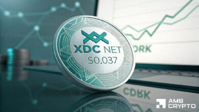 XDC يرتد من دعم رئيسي – هل سيساعد هذا السعر على الوصول إلى 0.037 دولار؟