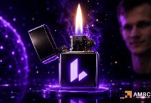 لماذا يرتفع Lighter [LIT] بقوة؟ فيتاليك وعمليات حرق الرموز والمزيد…
