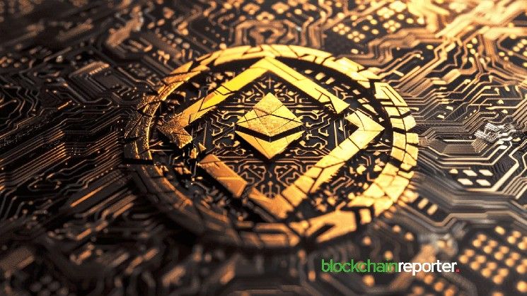 بينانس تطلق "مركز DYOR" لأبحاث الرموز ألفا بشفافية سلسلة الكتل