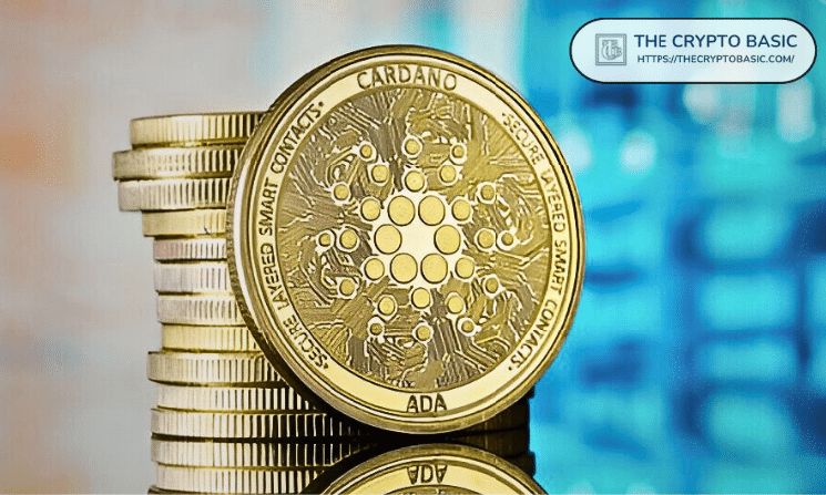 مدير NMKR التنفيذي يحث كاردانو على اغتنام فرصة التسويق النادرة هذه