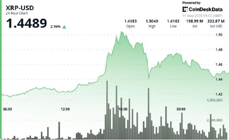 ارتفاع XRP بنسبة 2.5% متجاوزًا البيتكوين والإيثريوم، واختراق حاجز 1.45 دولار