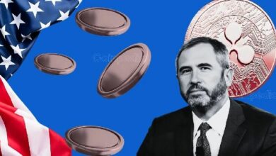 "براد جارلينجهاوس، الرئيس التنفيذي لريبل، يؤكد: لم أكن يومًا من متطرفي XRP"
