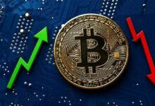 خبراء يجتمعون بعد انخفاض البيتكوين الأخير: لماذا هبط، وما التالي؟