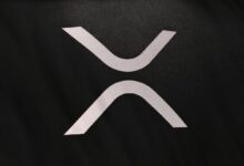 إعادة ضبط كبرى لعملة XRP: تعرّف على الفريق الجديد لمؤسسة XRP Ledger