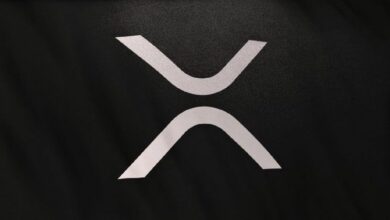 إعادة ضبط كبرى لعملة XRP: تعرّف على الفريق الجديد لمؤسسة XRP Ledger