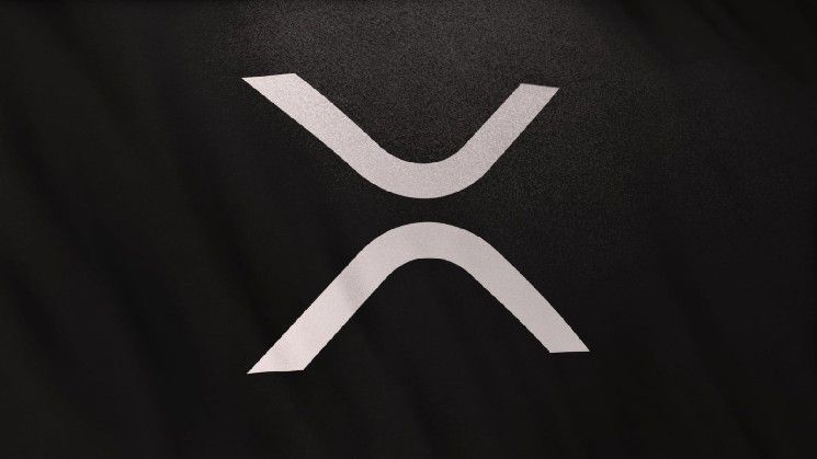 إعادة ضبط كبرى لعملة XRP: تعرّف على الفريق الجديد لمؤسسة XRP Ledger