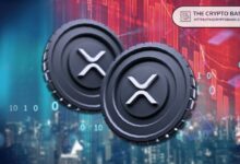 شركة إيفرنورث، أمينة خزينة XRP، تعزز مجلس إدارتها بأربعة أعضاء جدد بينهم المسؤول القانوني لـ Ripple
