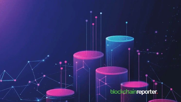 أبرز العملات الرقمية الرابحة هذا الأسبوع: $TON و$SIREN و$VVV تتصدر القائمة