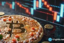كيف أنفق جيريمي ستورديفانت ثروة البيتزا التي تبلغ 10,000 بيتكوين؟