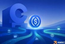 USDC يصبح محورياً لمستقبل المدفوعات الرقمية: إليك الأسباب