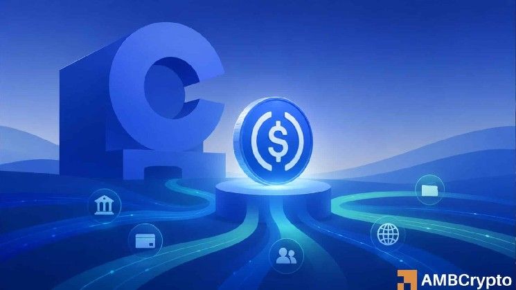 USDC يصبح محورياً لمستقبل المدفوعات الرقمية: إليك الأسباب