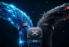 ترقية XRPL في 27 مايو تُظهر كيف يقرر المصادقون والأسواق انقسام البلوكتشين