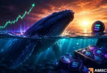 سولانا: كيف قد يساعد رهان حوت بقيمة 7.5 مليون دولار في دفع SOL نحو 100 دولار