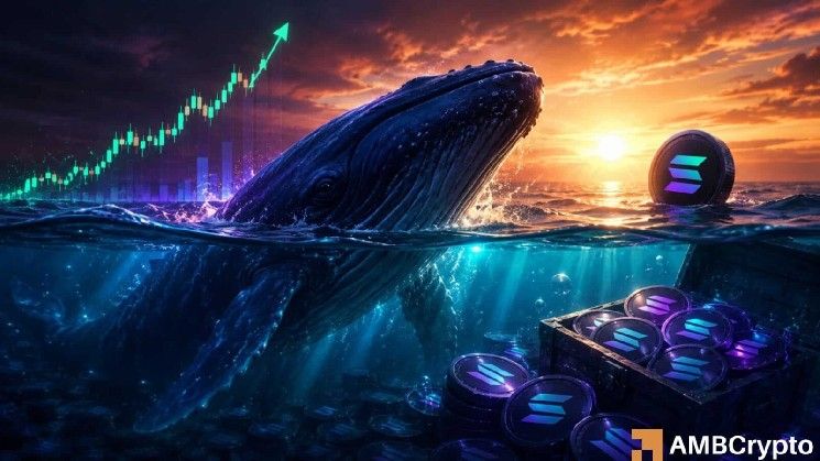 سولانا: كيف قد يساعد رهان حوت بقيمة 7.5 مليون دولار في دفع SOL نحو 100 دولار