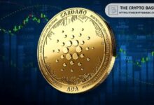 مؤسس SongMarketCap ينتقد مجتمع كاردانو لعدم دعمه لـ Snek.fun